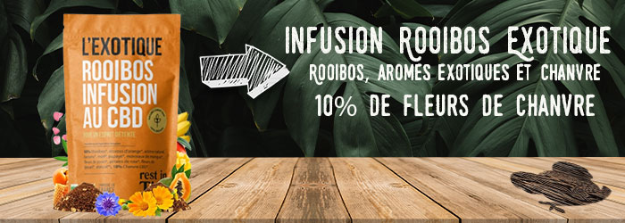 achat infusion rooibos exotique cbd